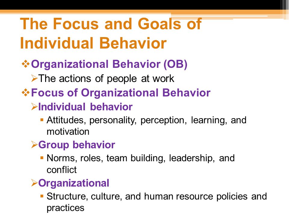 Perception & Motivation in Organizational Behavior